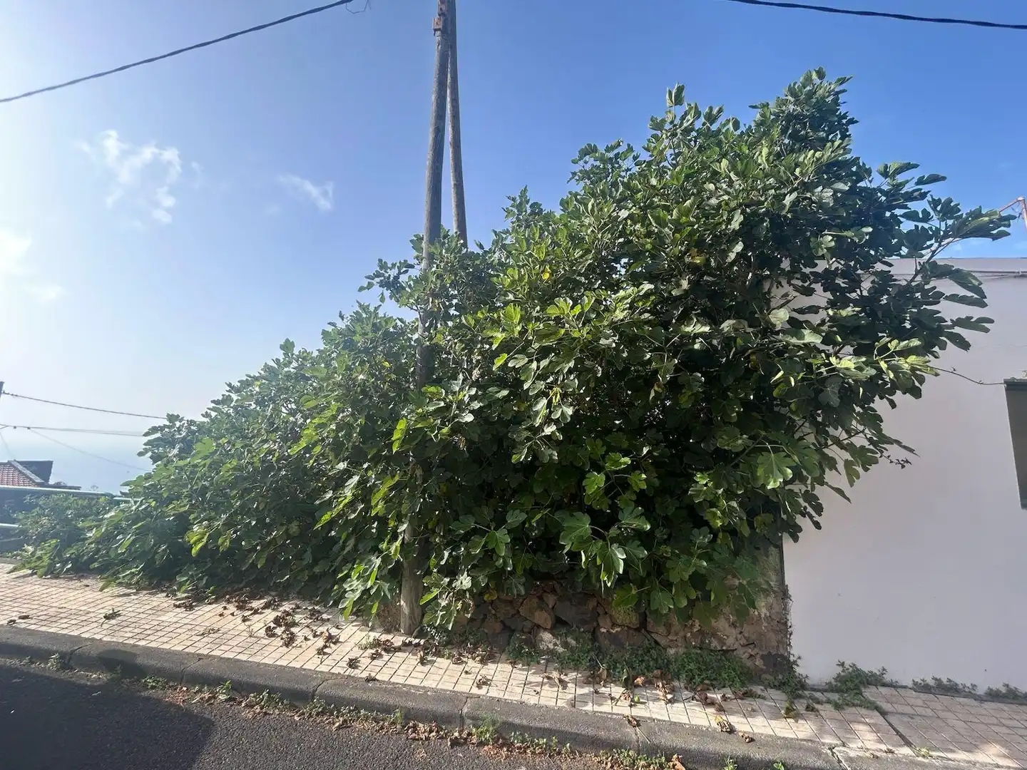 Terrain résidentiel à vendre à Valverde (Santa Cruz de Tenerife), imagen 6