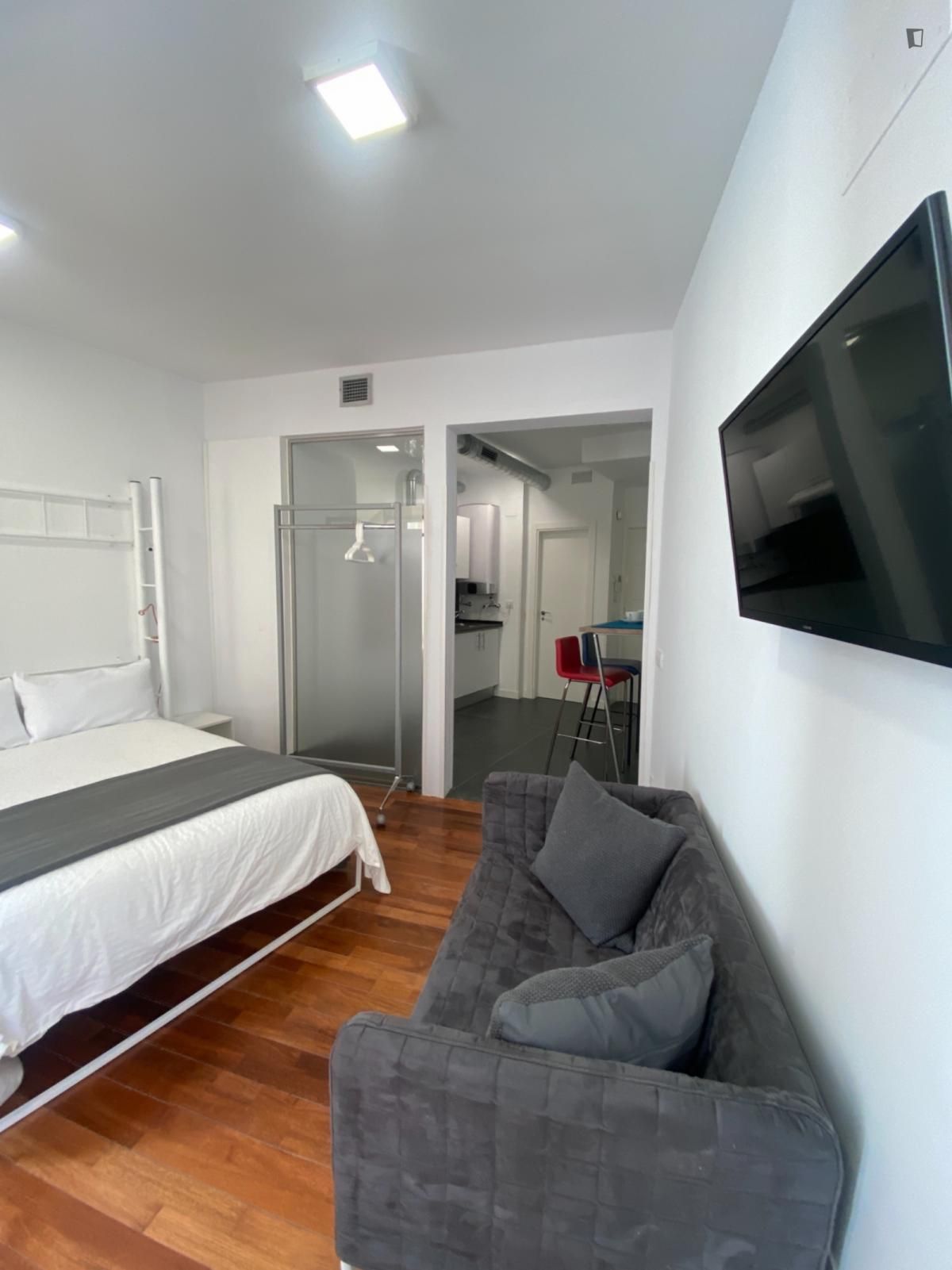 Estudio de alquiler en Embajadores - Lavapiés