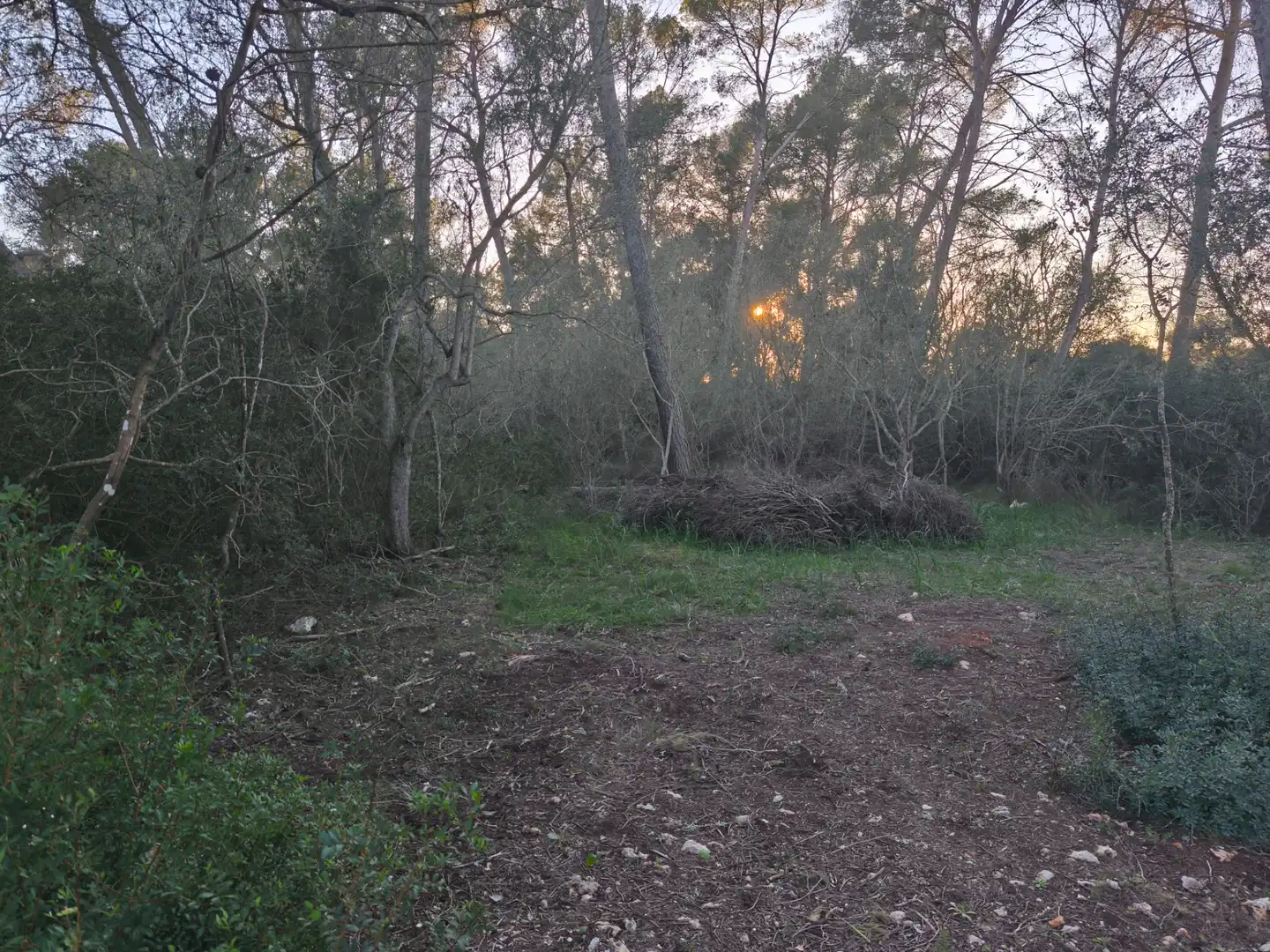 Terreno rustico in vendita a Algaida, imagen 5