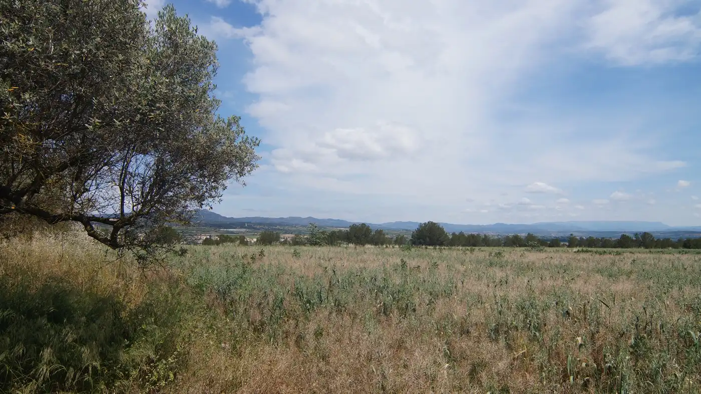 Terreno en venta en Ginestar