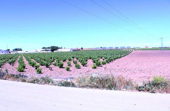 Terreno industrial en Venta en  lugar Las Juncadas - Hermanos Amoros S/n en Las Mesas