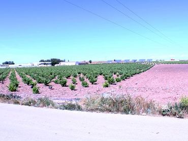 Industrial land for sale in lugar Las Juncadas - Hermanos Amoros S/n