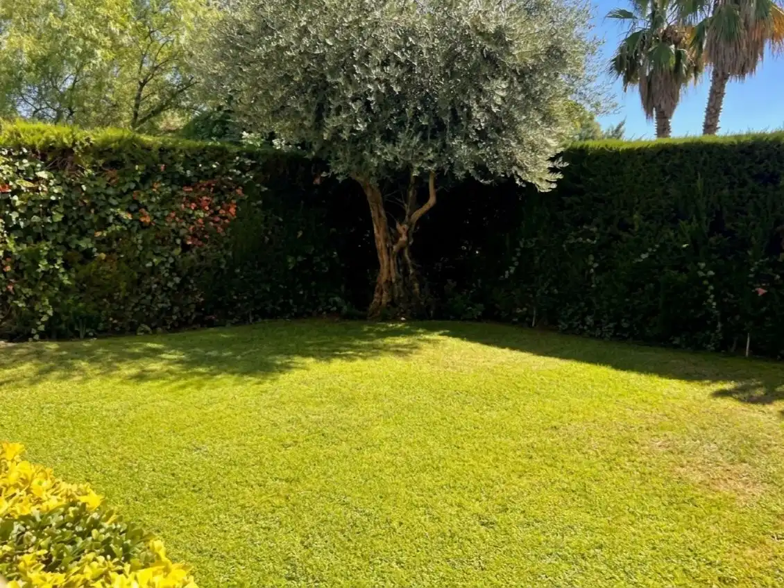 Wohnung mit Pool zum Verkauf in Avenida Sant Andreu, 116, imagen 3
