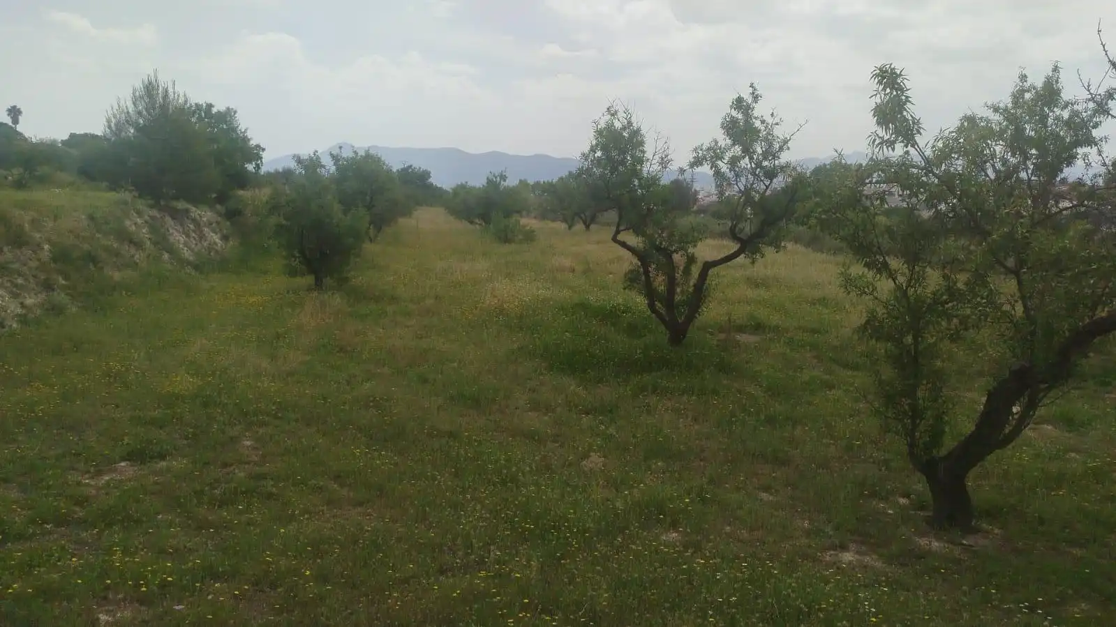 Terreno residencial en venta en L'Olleria, imagen 9