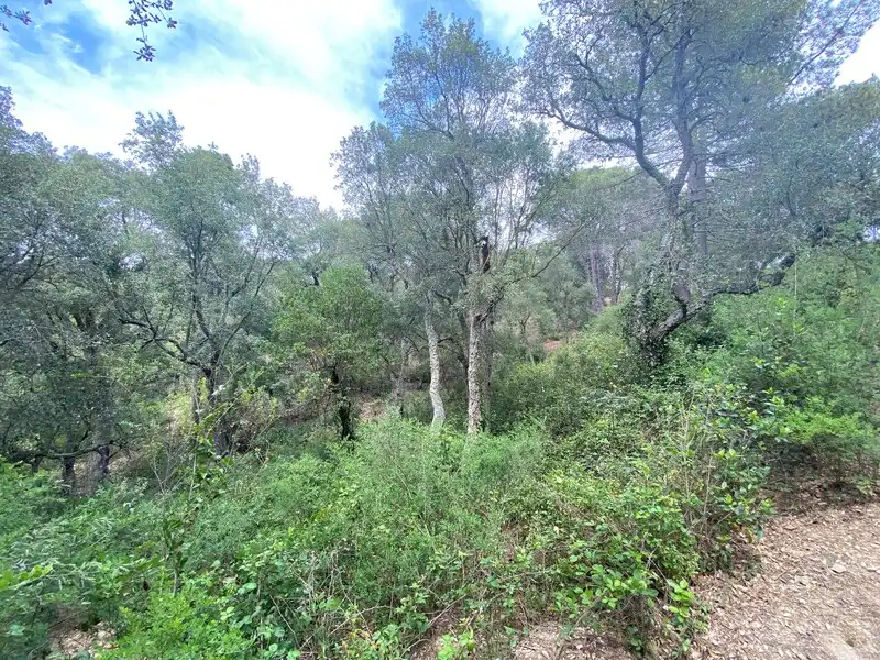 Terreny rústic en venda a Nou Carrer, POLIGONO 1, imagen 3