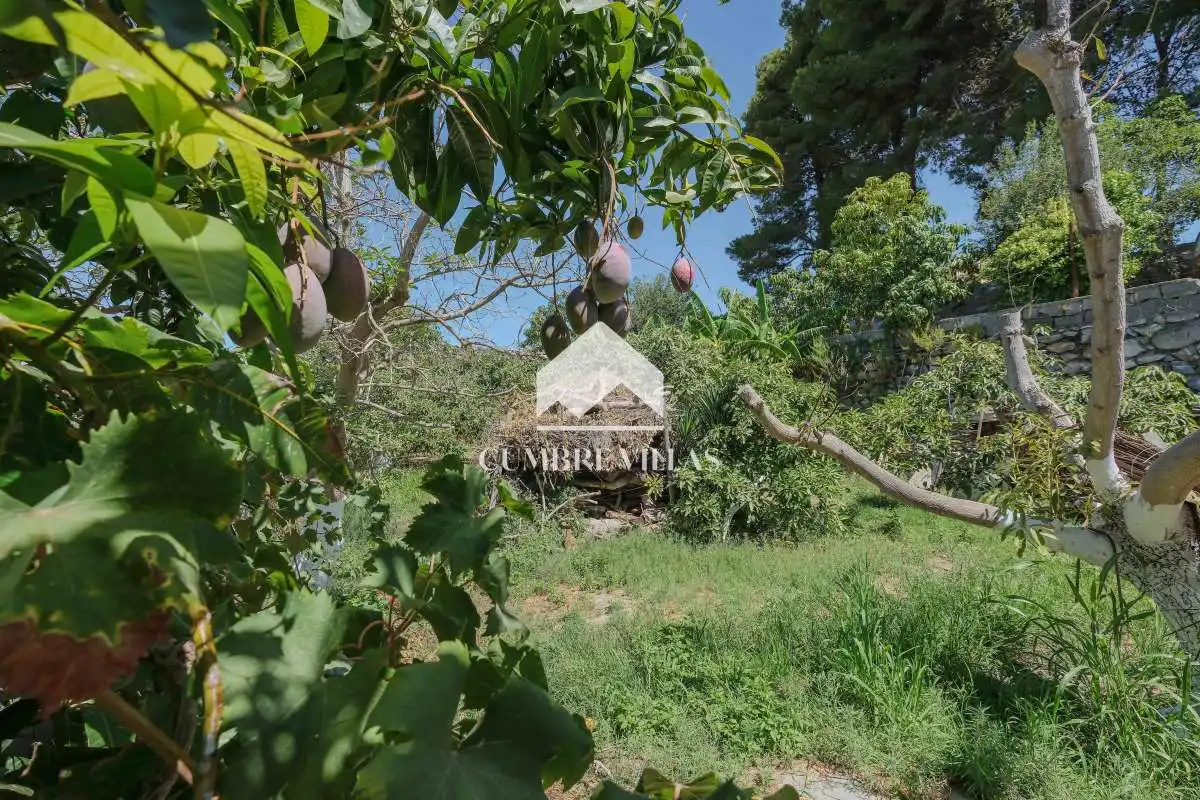 Casa rústica amb jardí en venda a Motril  ciudad, imagen 77