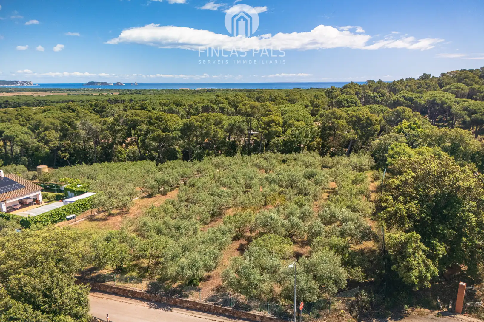 Terreny residencial en venda a Carrer Grèvol 5, imagen 8