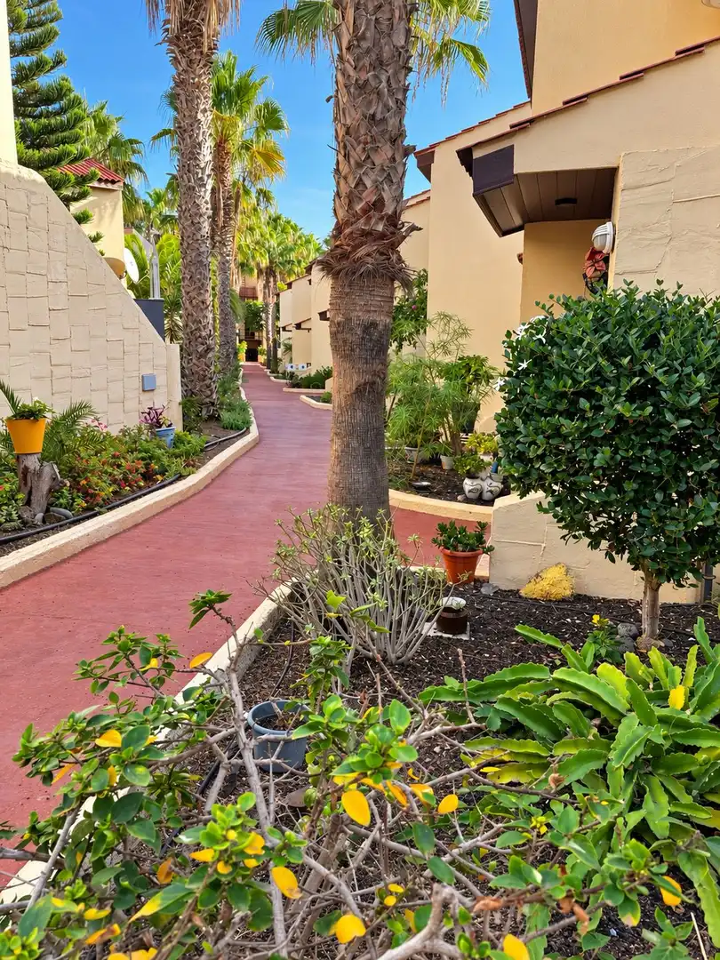 Exterior view of Flat for sale in Parque Holandés