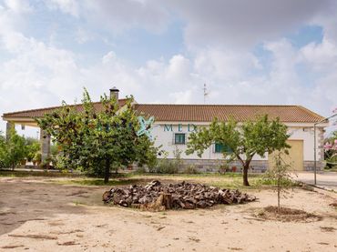 Casa amb jardí en venda a Avenida de Hacienda del Álamo SN