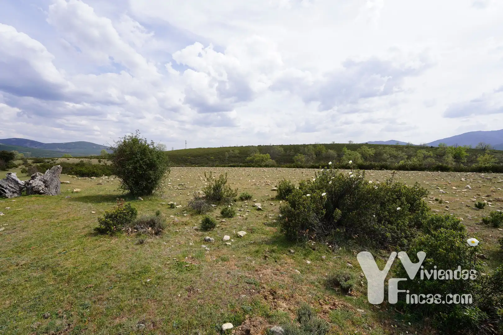Terreno rústico en venta en Campillo de Ranas, imagen 32