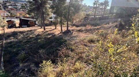 Terreno en el maset, masquefa, immagine 2