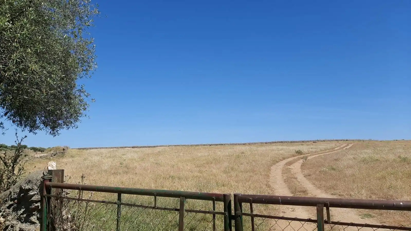 Maison à vendre à Garrovillas de Alconétar, imagen 6