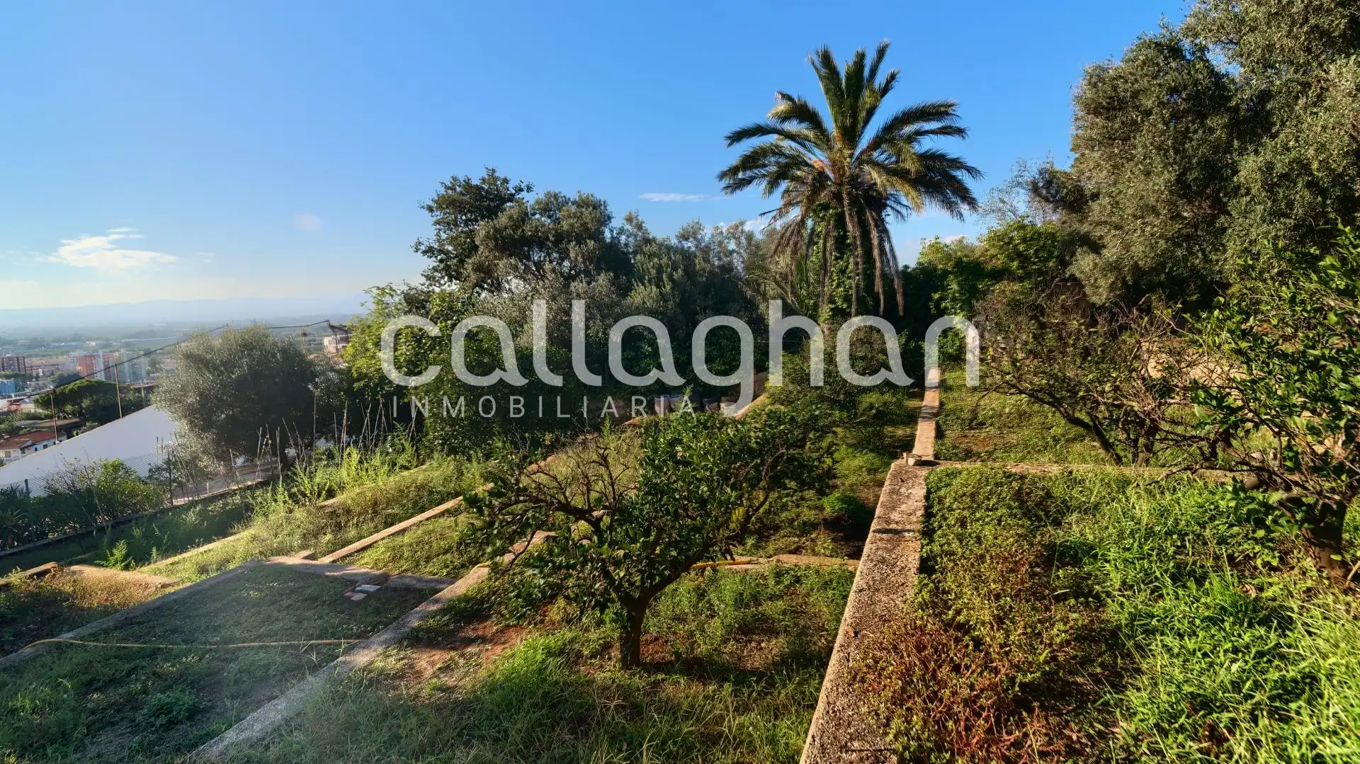 Jardín de Casa o chalet en venta en Alzira con Aire acondicionado, Calefacción y Jardín privado