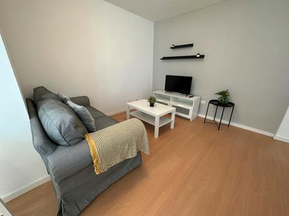 Living room of Flat to rent in  Madrid Capital  with Heating, Furnished and Washing machine