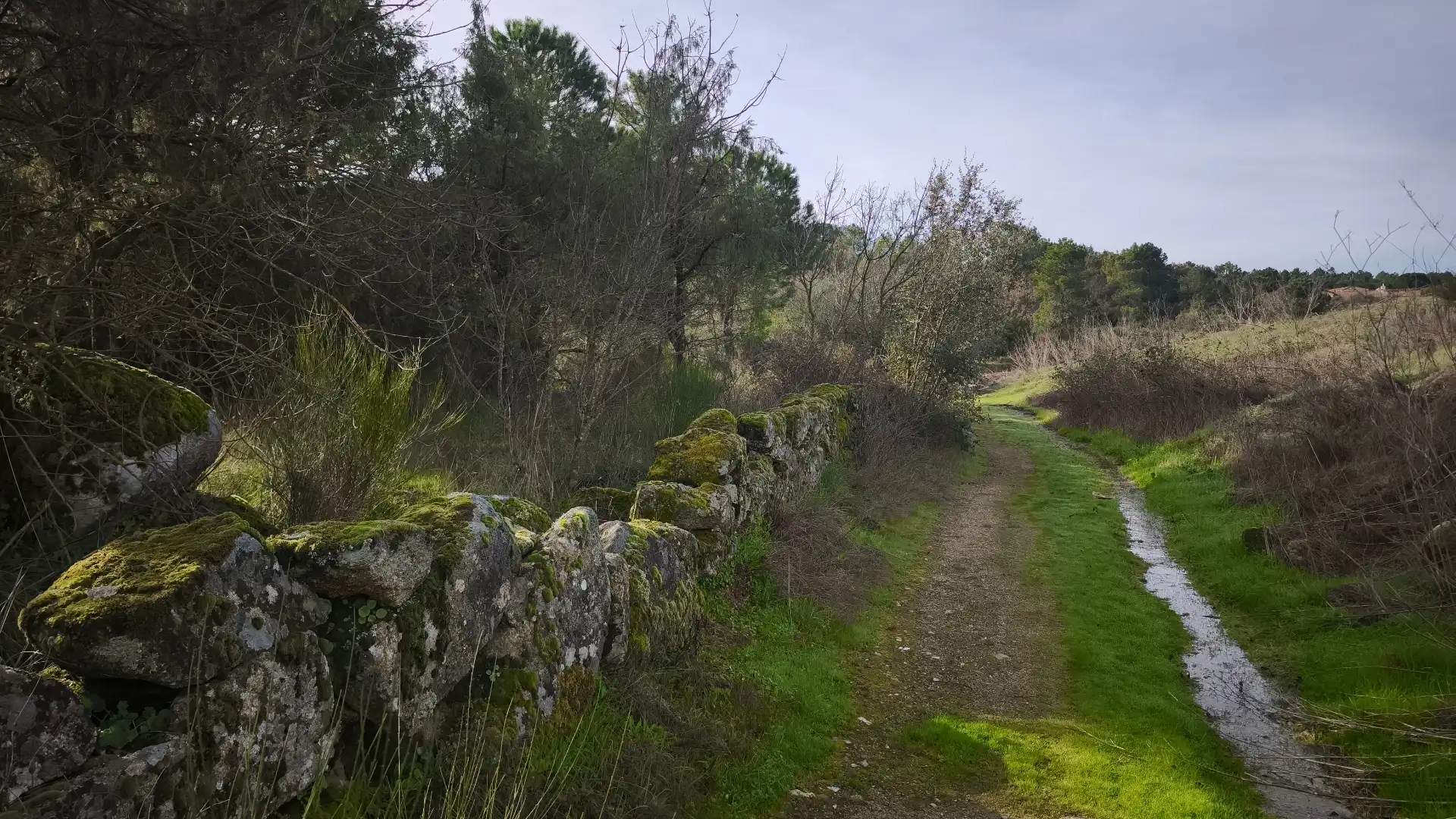 Terreni e lotti in vendita a Santa María del Tiétar, imagen 2