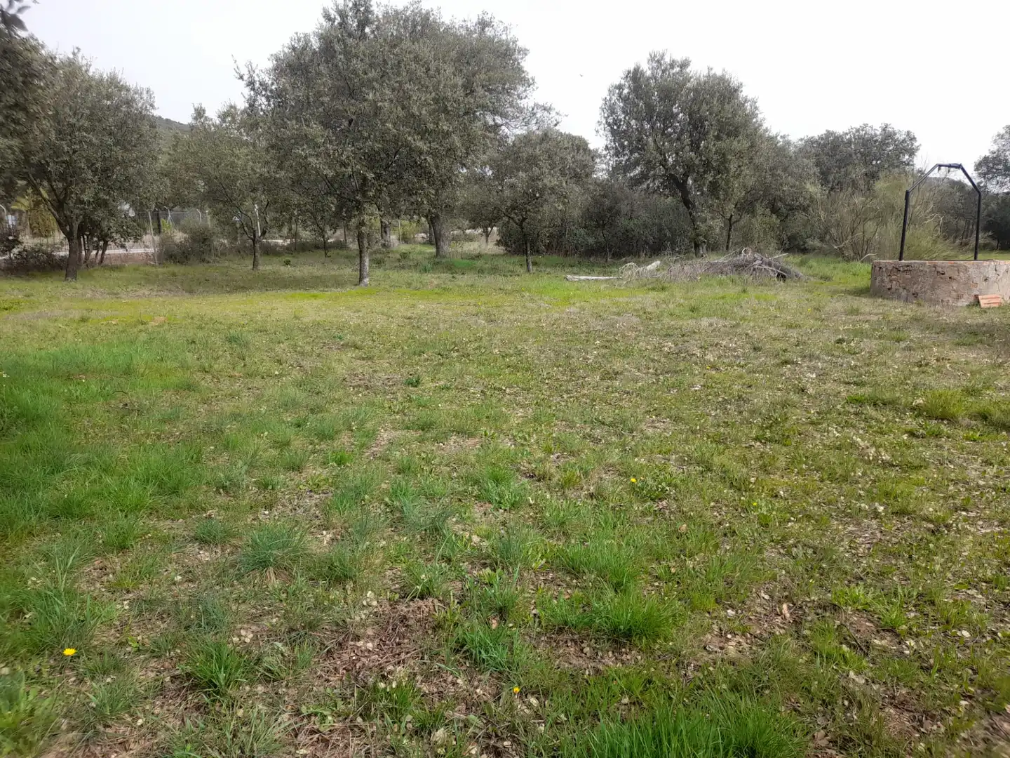 Finca rústica en venta en Brazatortas con Trastero y Piscina