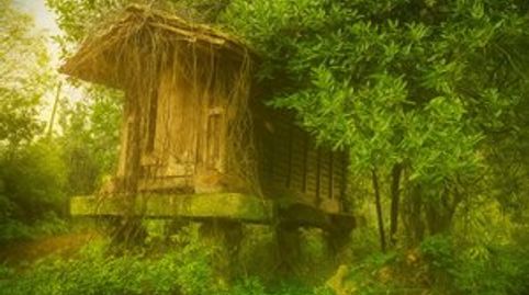 Finca con alma rural y piedra con historia, immagine 2