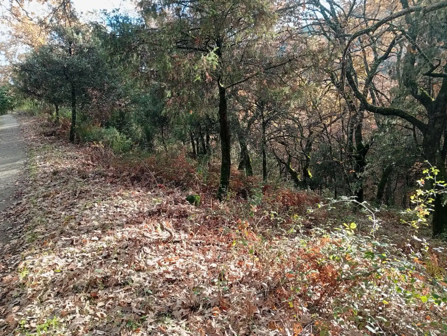 Terreni e lotti in vendita a Villanueva de la Vera, imagen 10