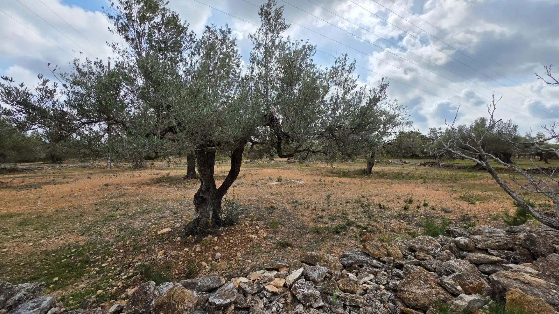 Maison rustique avec jardin à vendre à L'Ametlla de Mar pueblo, imagen 36