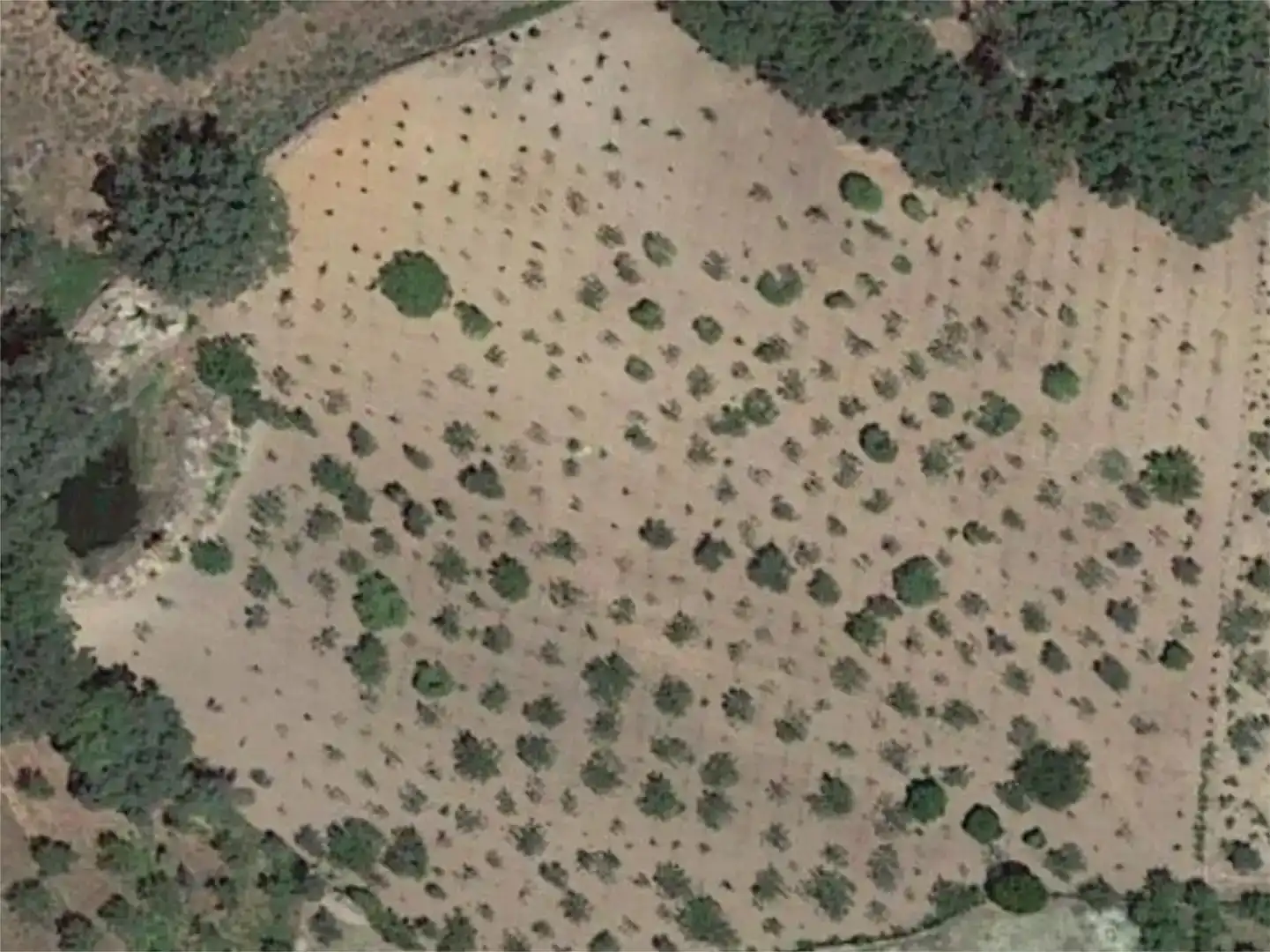 Finca rústica en venta en Losar de la Vera