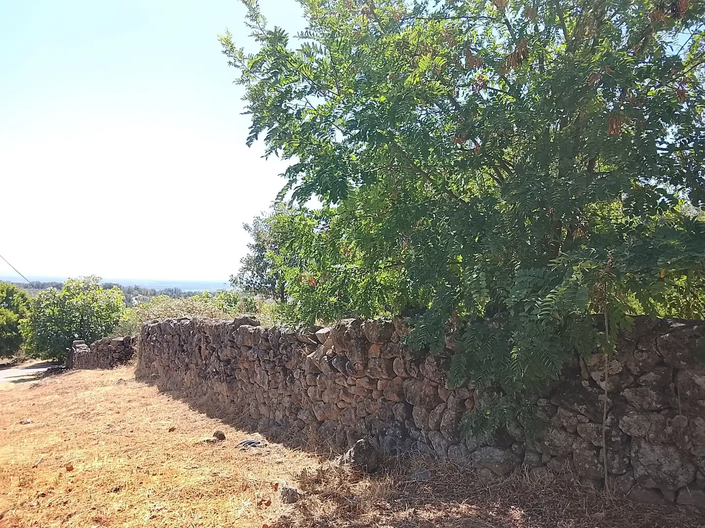 Terreni e lotti in vendita a Talaveruela de la Vera, imagen 6