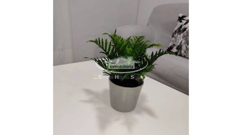 Foto 5 de Apartamento de alquiler en El Pino - Bajo de Guía, Sanlúcar de Barrameda