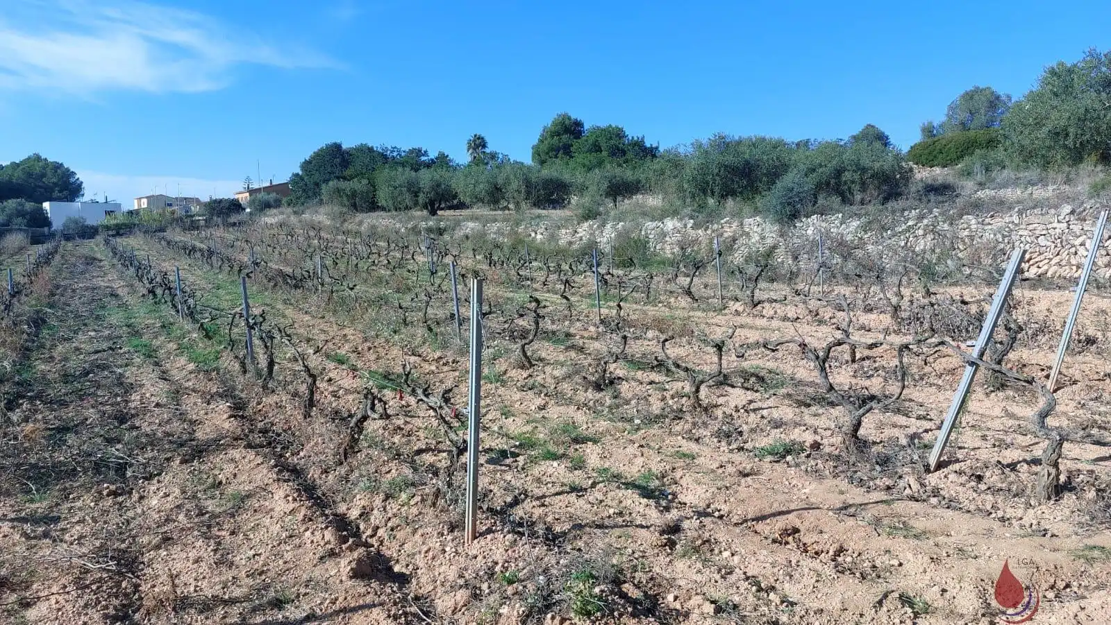 Terrenys i solars en venda a av mar, imagen 6