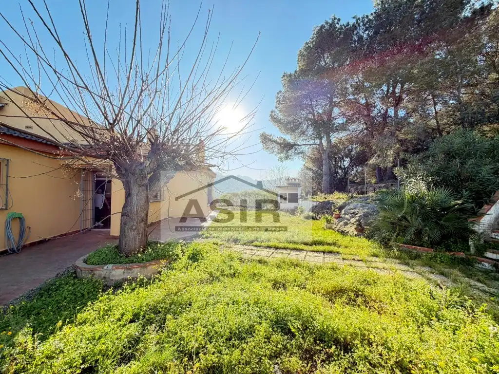 Jardín de Casa o chalet en venta en Alzira