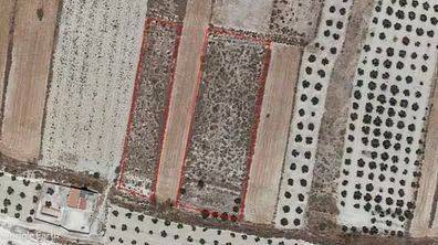 Terreno en Venta en Benamaurel