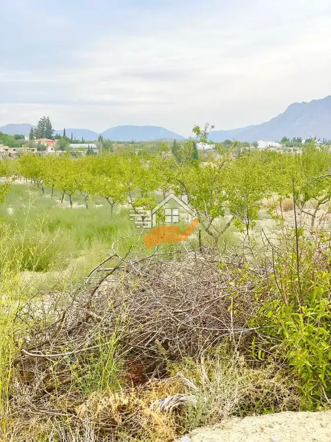 Terrenos y solares en venta en Vélez-Blanco, imagen 9