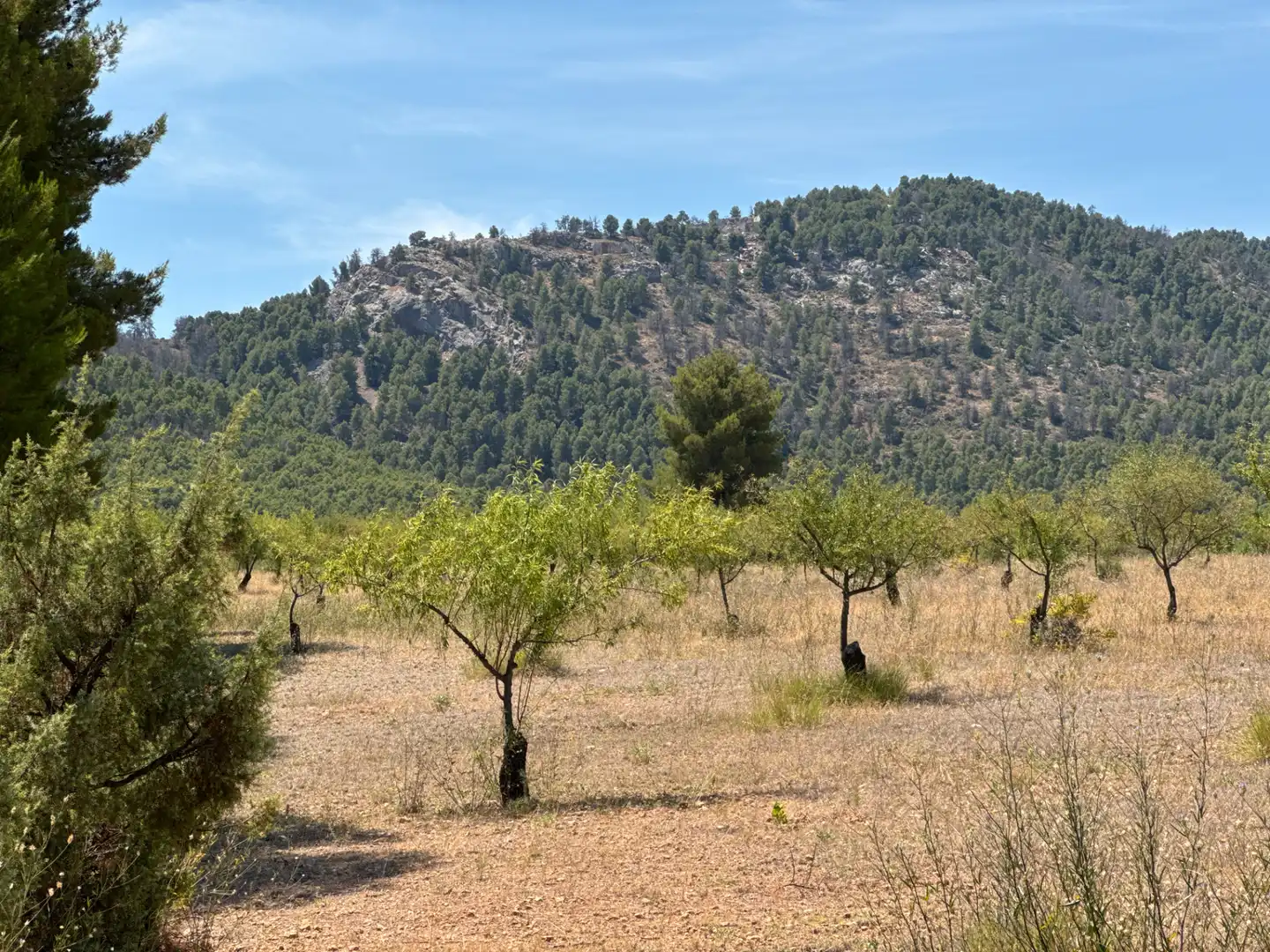 Rural land for sale in N/A, imagen 43