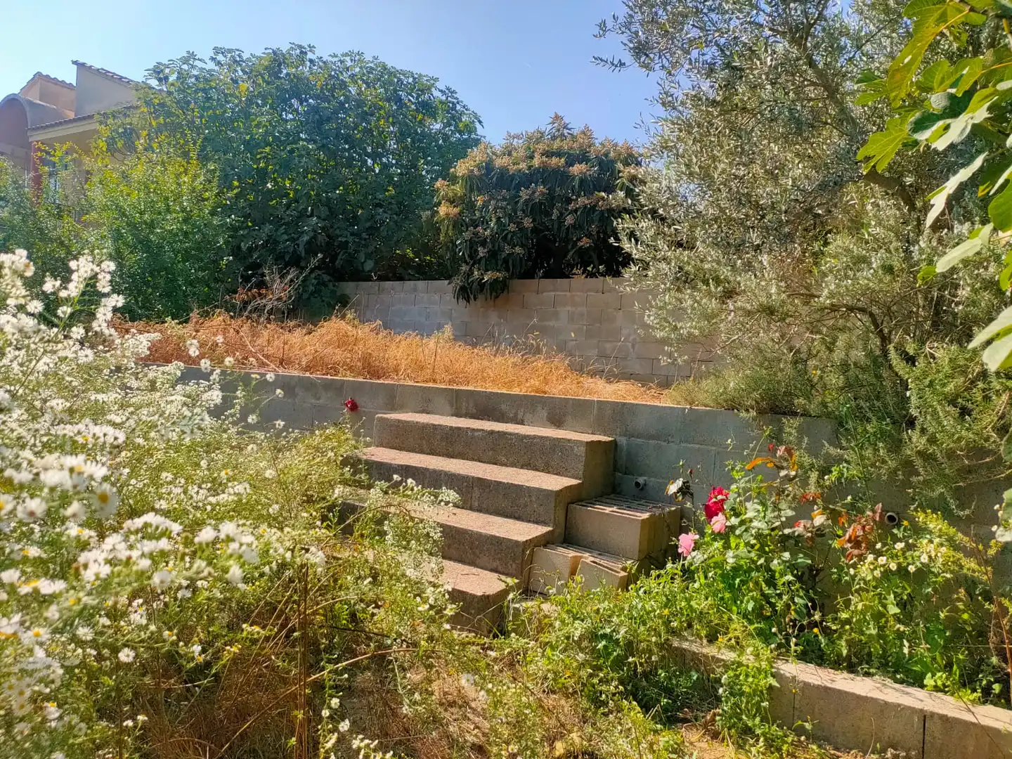 Residential land for sale in Carrer d'Eduard Toldrà, imagen 18