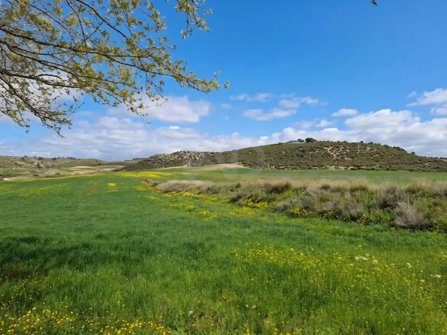 Finca rústica en venda en Lorca amb Calefacció i Terrassa