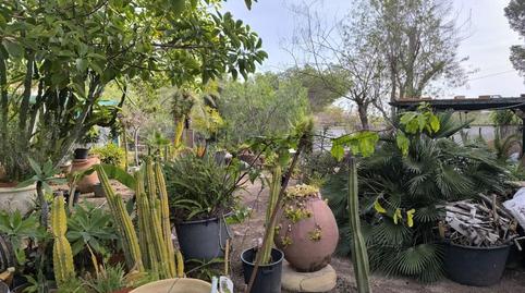 Foto 4 de Casa o xalet en venda a Polígono Peri Cast D Juan Oeste, 20, Lomas de Cabo Roig - Los Dolses, Orihuela