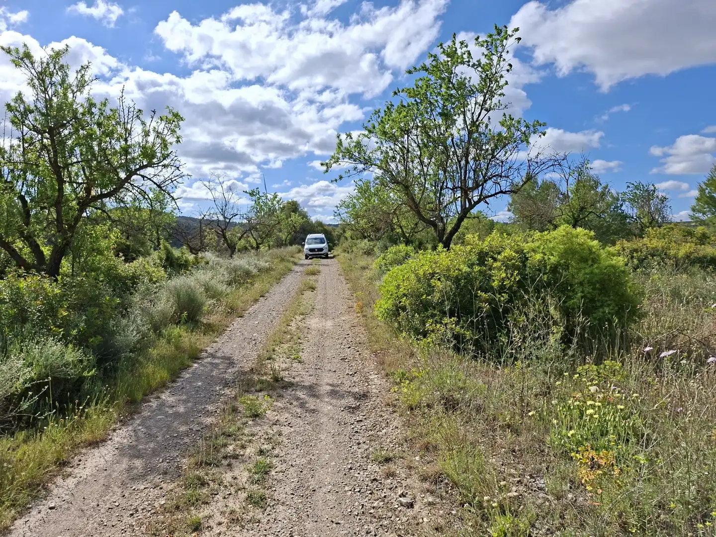 Finca rústica en venta en Vilalba dels Arcs