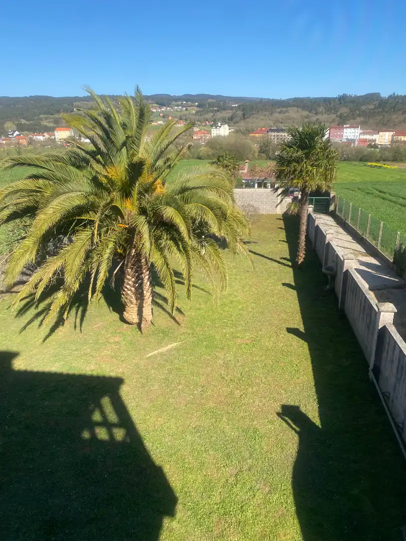 Jardí de Casa o xalet en venda en Val do Dubra amb Calefacció, Jardí privat i Parquet