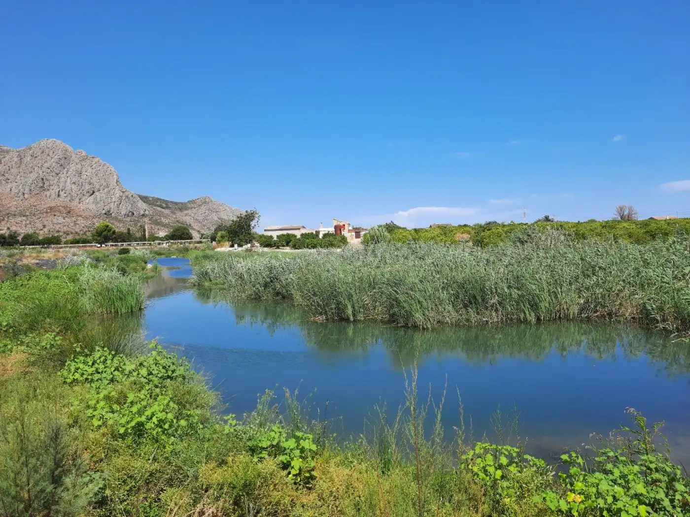 Vista exterior de Finca rústica en venta en Ondara con Aire acondicionado, Calefacción y Jardín privado