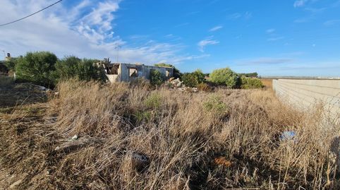 Foto 5 de Terreno en venta en Camino Molino de Cafe, La Soledad, Chiclana de la Frontera