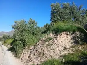 Terreni e lotti in vendita a Atarfe, imagen 8