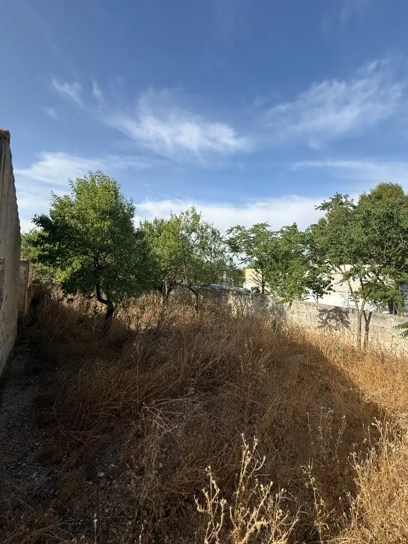 Terreno rustico in vendita a Calle Diseminado, imagen 14