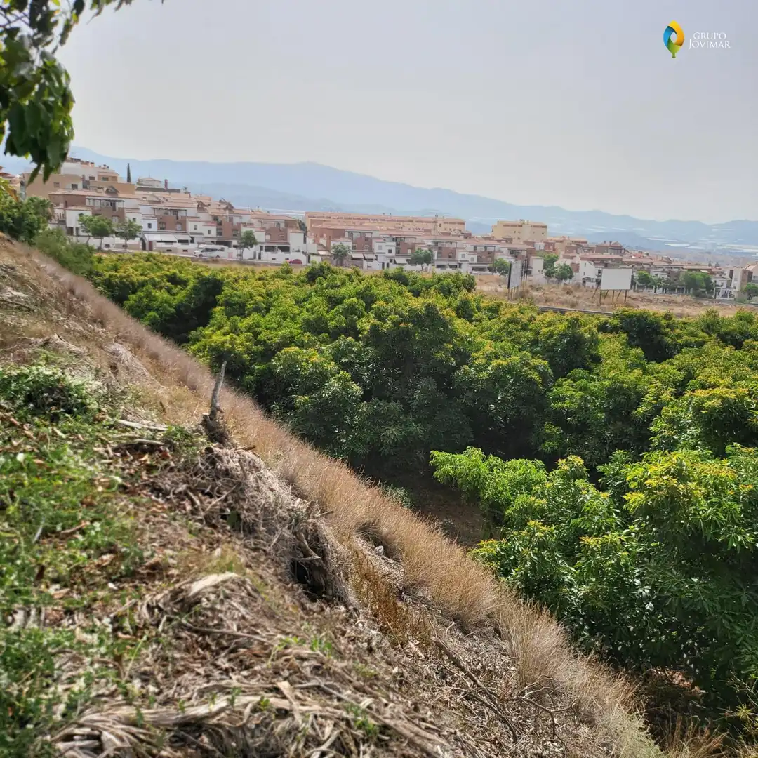 Vista exterior de Terreno en venta en Motril  ciudad
