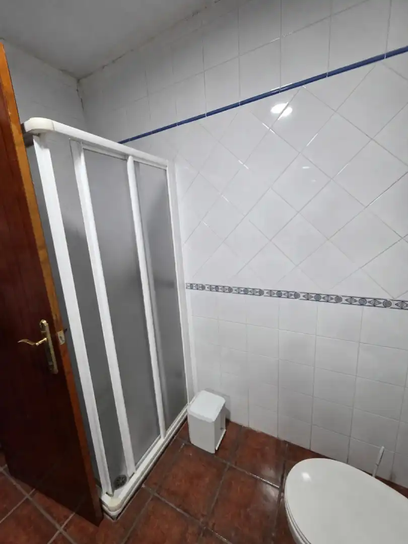 Chalet con jardín en venta en Villanueva de la Serena, imagen 13