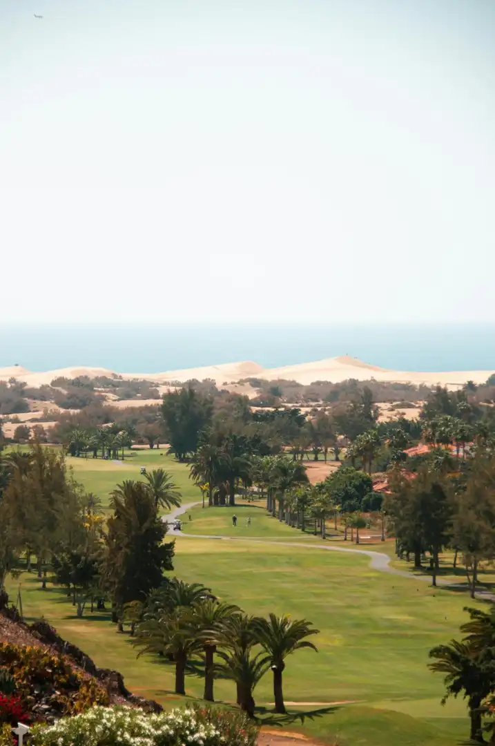 Vista exterior de Casa o chalet en venta en San Bartolomé de Tirajana con Aire acondicionado, Jardín privado y Terraza