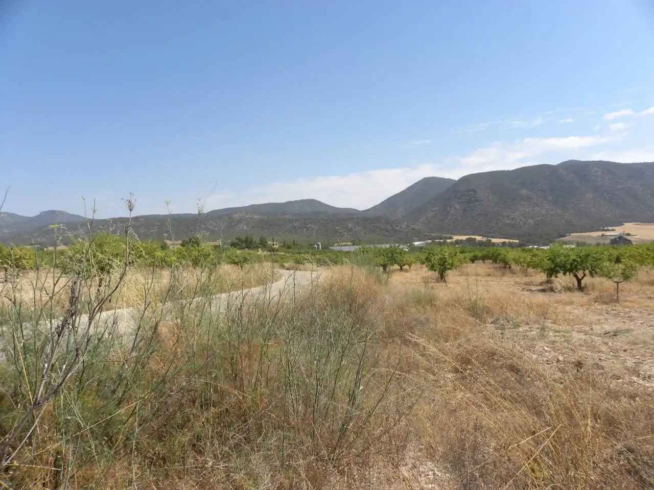 Industriegebäude zum Verkauf in Caravaca de la Cruz, imagen 22