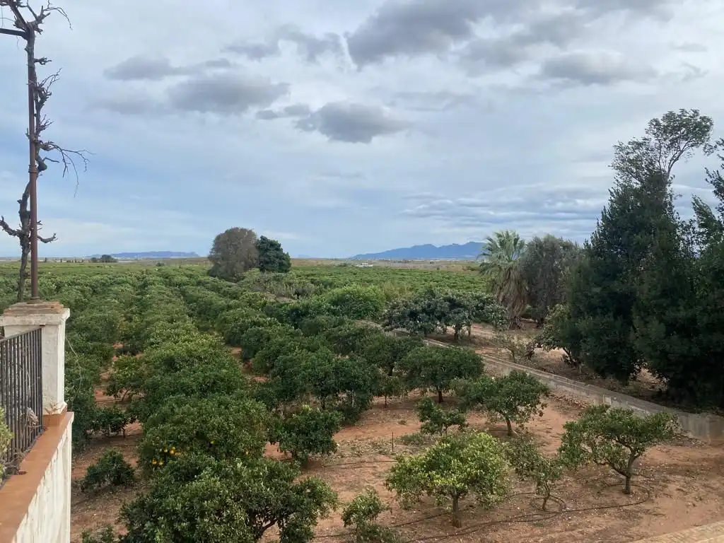 Finca rústica en venta en Benifaió con Jardín privado, Terraza y Trastero