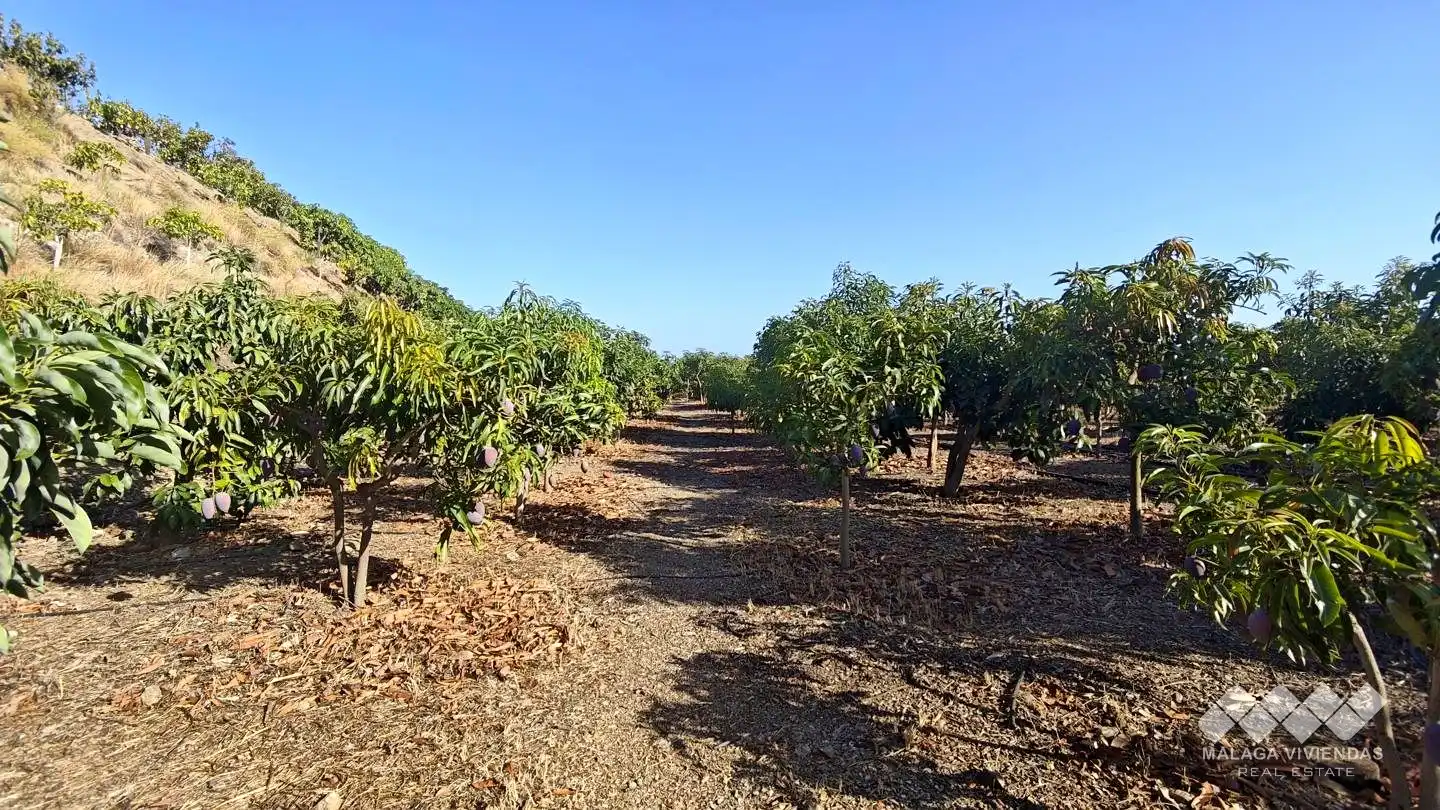 Terreno rústico en venta en Diseminado Atalaya Baja, imagen 2