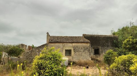 Foto 2 de Finca rústica en venda a El Dossel - Mareny de San Lorenzo, Cullera