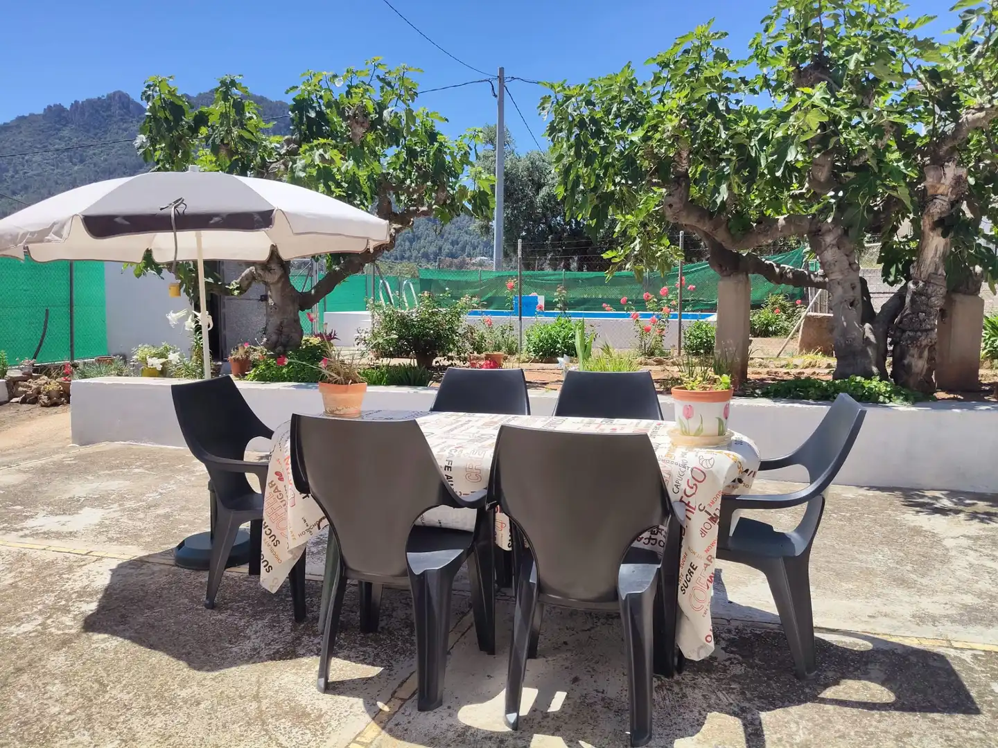 Terrassa de Finca rústica en venda en Simat de la Valldigna amb Jardí privat, Traster i Piscina