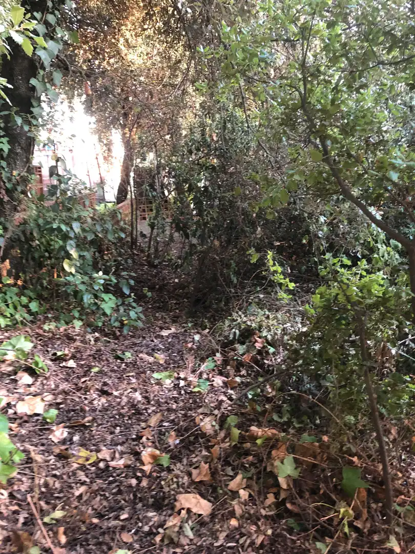 Terreno residencial en venta en Camino Mataro de 67, imagen 18