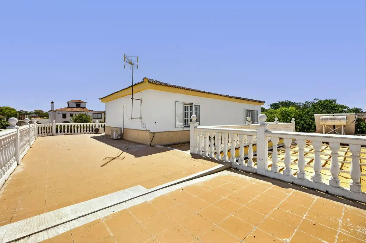 Vista exterior de Casa o xalet en venda en Carmona amb Aire condicionat, Calefacció i Jardí privat